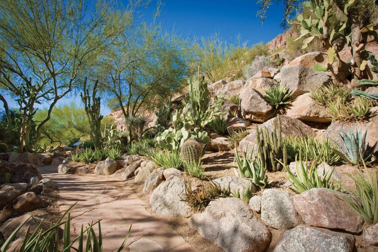 The Canyon Suites At The Phoenician, A Luxury Collection Resort, Scottsdale Paradise Valley Buitenkant foto