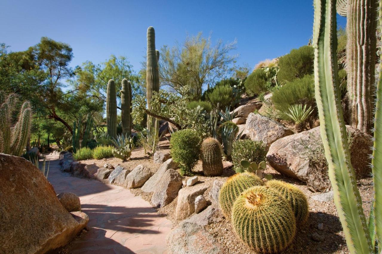 The Canyon Suites At The Phoenician, A Luxury Collection Resort, Scottsdale Paradise Valley Buitenkant foto
